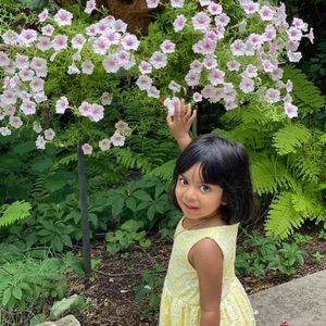 Meet your Posher, Jesna